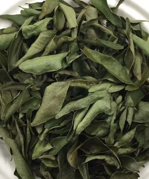 Curry Leaves