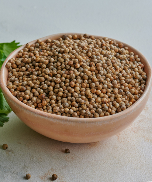 Coriander