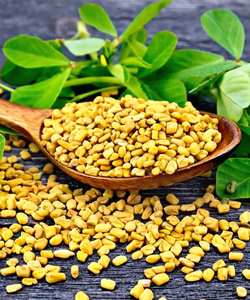 Fenugreek seeds