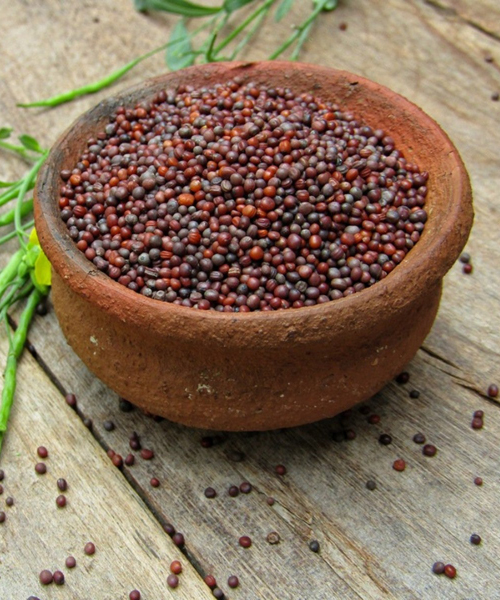 Mustard Seeds or Rai