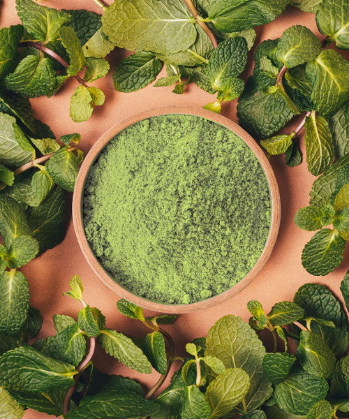 Mint Leaves Powder