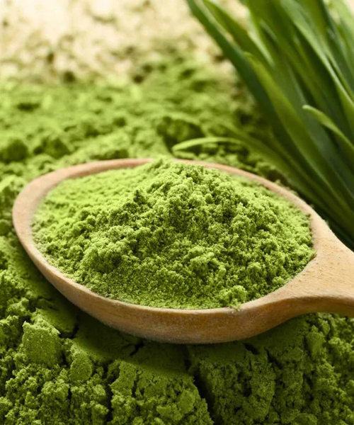 Wheat Grass Powder